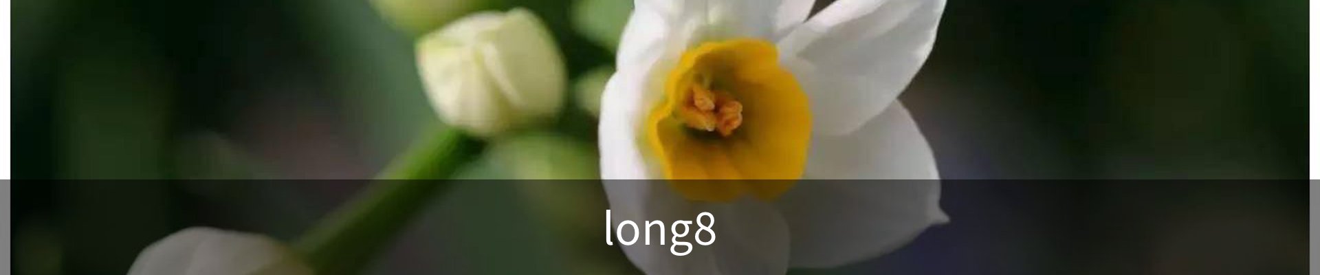 long8